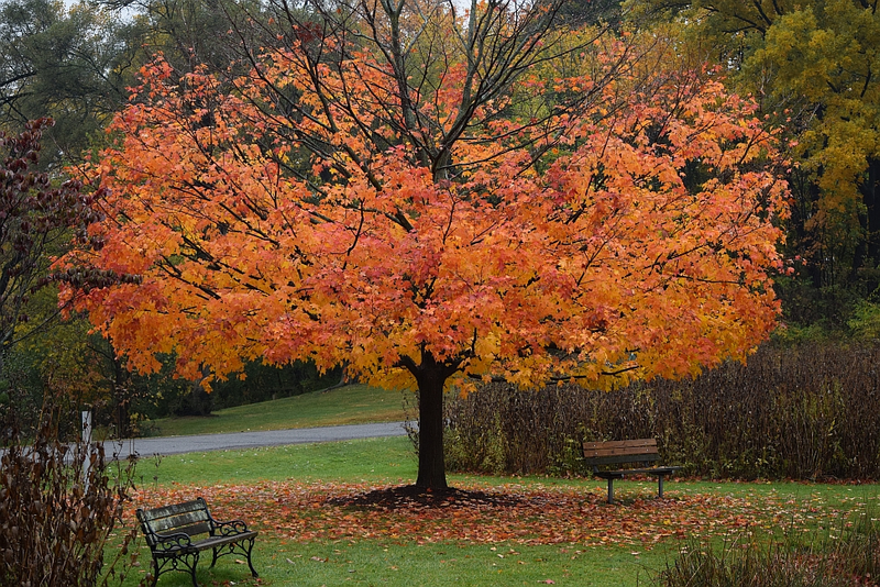 Illustration for article titled 48 Photos Of Autumn Around The World